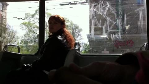 41557
