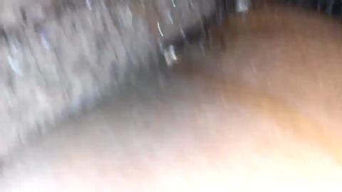 41497