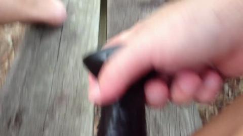 31320