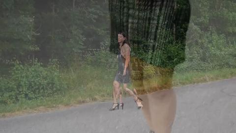 2911
